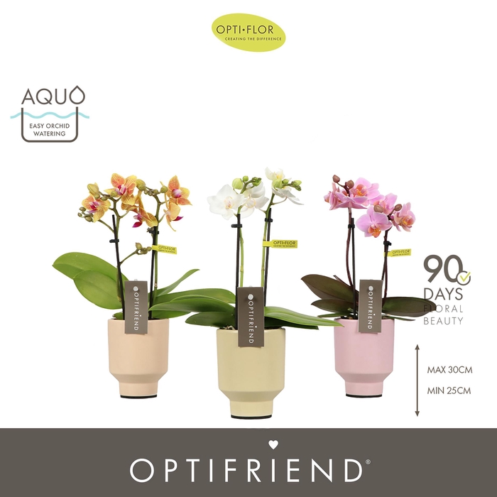 <h4>Optifriend Mix 2 spike in Emilia Mix Aquo</h4>