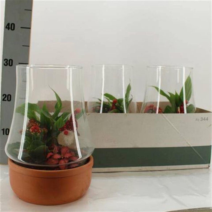 <h4>Arr Kamerpl In Glas</h4>