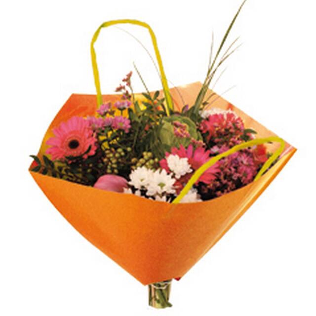 <h4>Hoes 35x35cm boekettas Bro-lux Fond oranje +hengsel 400/ds</h4>