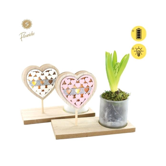 <h4>(9701) Hyacint Pink Valentijn 1PP</h4>