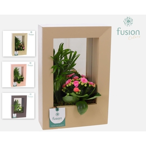 Houten schilderij met spiegel Arrangement