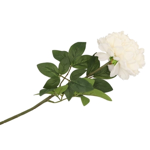 Silk Peony Tak Creme 71cm