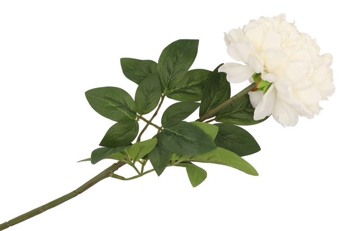 <h4>Silk Peony Tak Creme 71cm</h4>