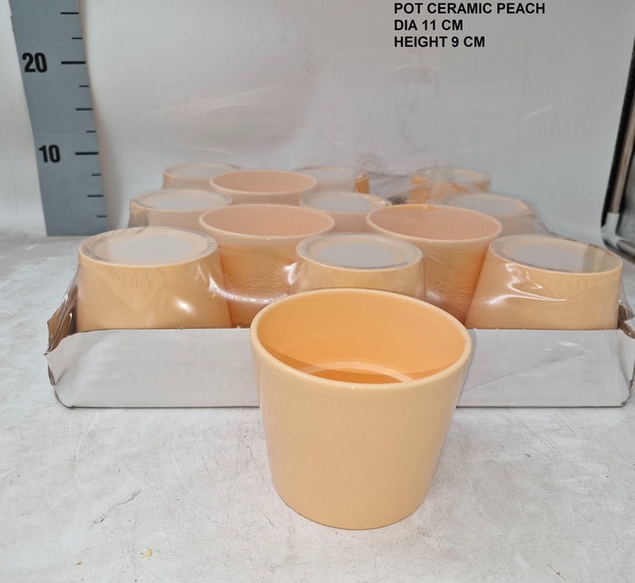 <h4>KERAMISCHE POT H%</h4>