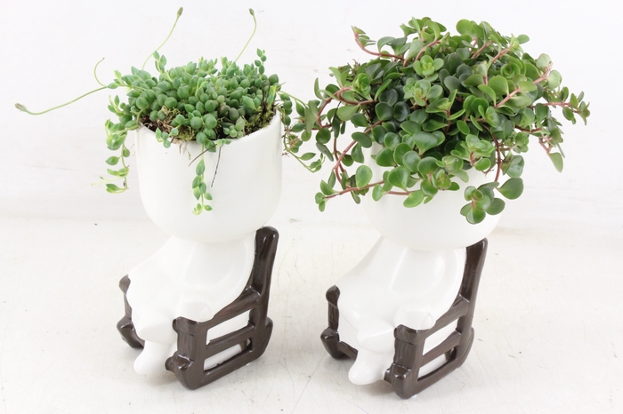 <h4>arr3 SN - Ker. rocking chair L x6</h4>