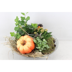 arr2 PL - Glas schaal 30cm pompoen