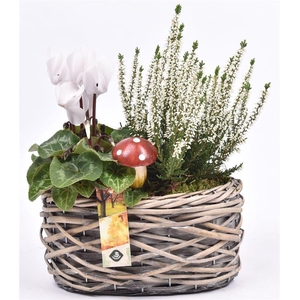 Wilg mand ovaal girjs 22x13cm