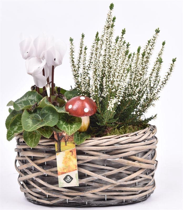 <h4>Wilg mand ovaal girjs 22x13cm</h4>
