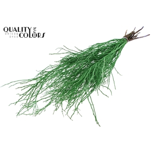 Huckelberry per bunch Light Green