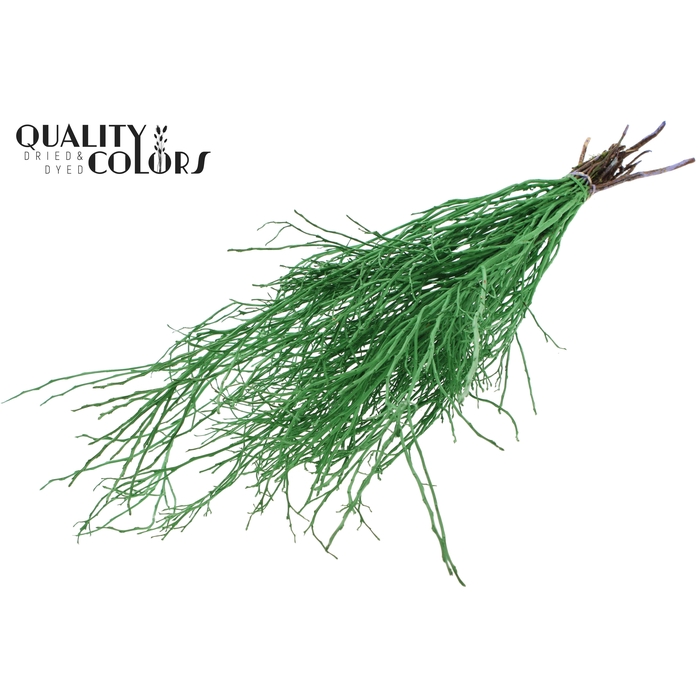 <h4>Huckelberry per bunch Light Green</h4>