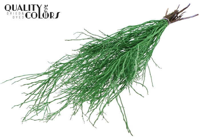 Huckelberry per bunch Light Green