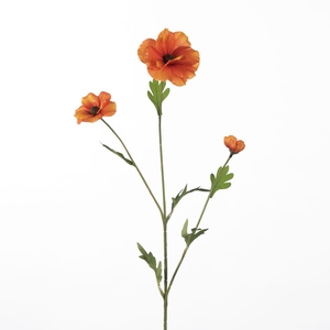 Af Ranunculus Bu L58cm Orange