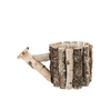 Nature Birch Water Planter 15x15cm
