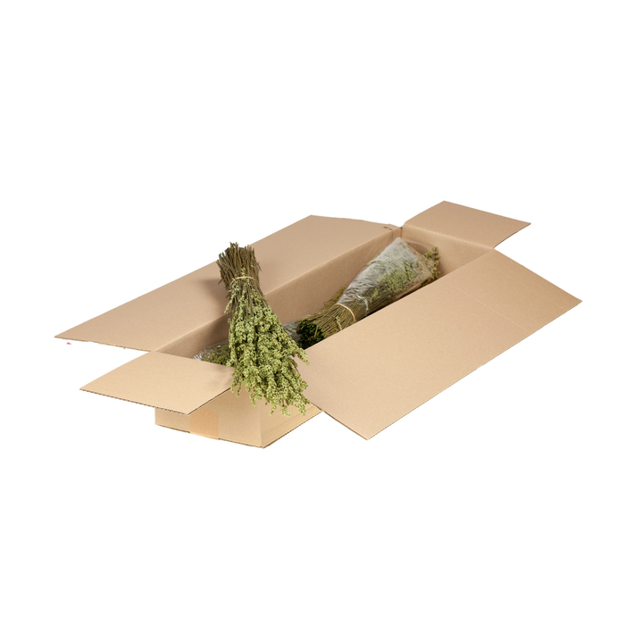 <h4>Lavender Preserved Sb Green</h4>