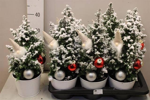 <h4>CHAM TH TOP POINT</h4>