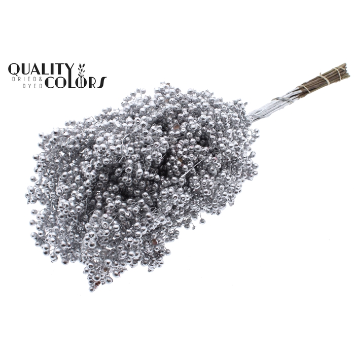 <h4>Pepperberries per bunch in poly Silver</h4>