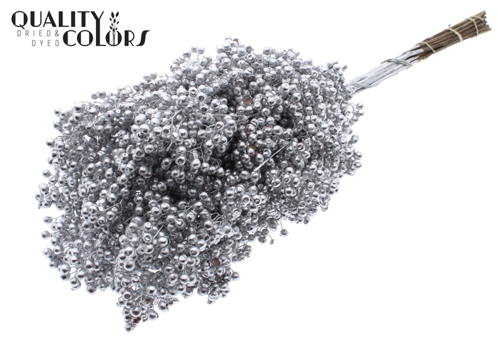 Pepperberries per bunch in poly Silver