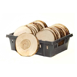 Y ARR HOUTEN PLANEKN 20cm