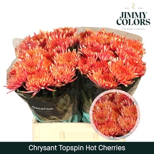 Chr G Topspin Hot Cherries