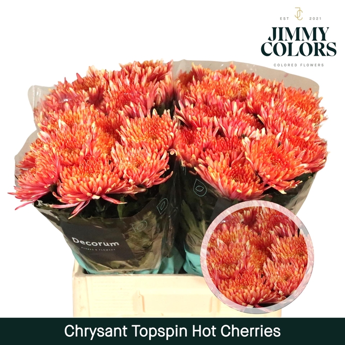 <h4>Chr G Topspin Hot Cherries</h4>