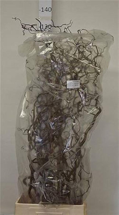 <h4>Corylus Av Contorta 120cm X15</h4>