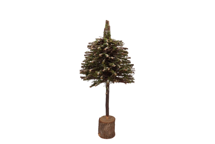 Festive Tree Poplar Moss 25x25x60cm