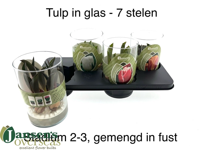 <h4>TUL GEM 3 KLEUREN</h4>