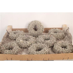 Krans Schinus Platina 12cm