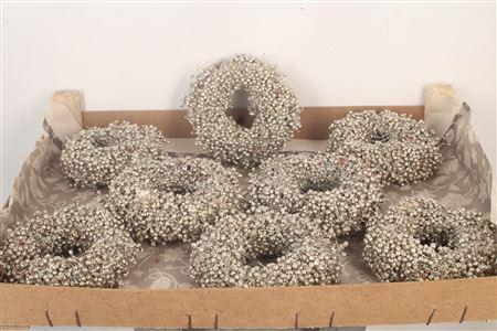 <h4>Krans Schinus Platina 12cm</h4>