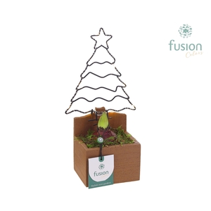 Kerst planter hout Kerstboom met verlichting en Hyacinthus