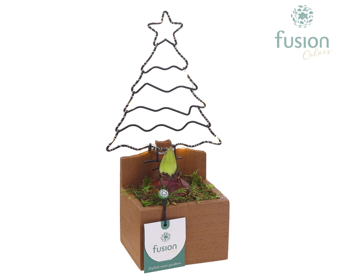 <h4>Kerst planter hout Kerstboom met verlichting en Hyacinthus</h4>