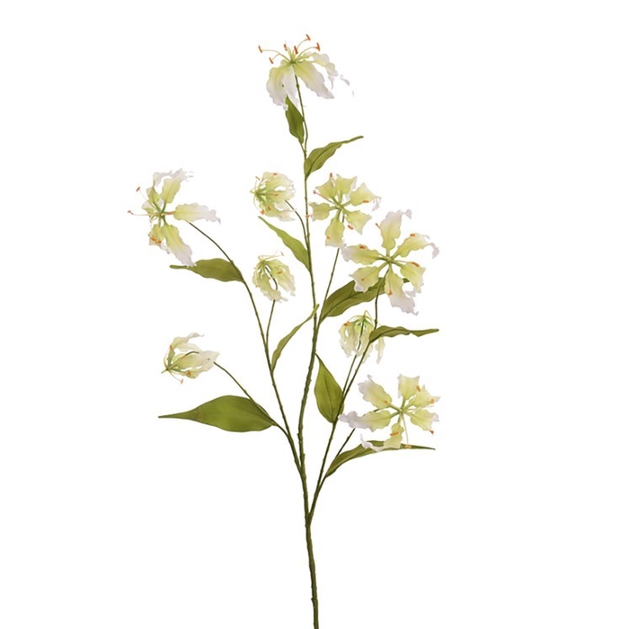 <h4>Large Gloriosa Spray x9 125cm cream</h4>