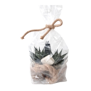 Arr.   Kamerplant Groen L%