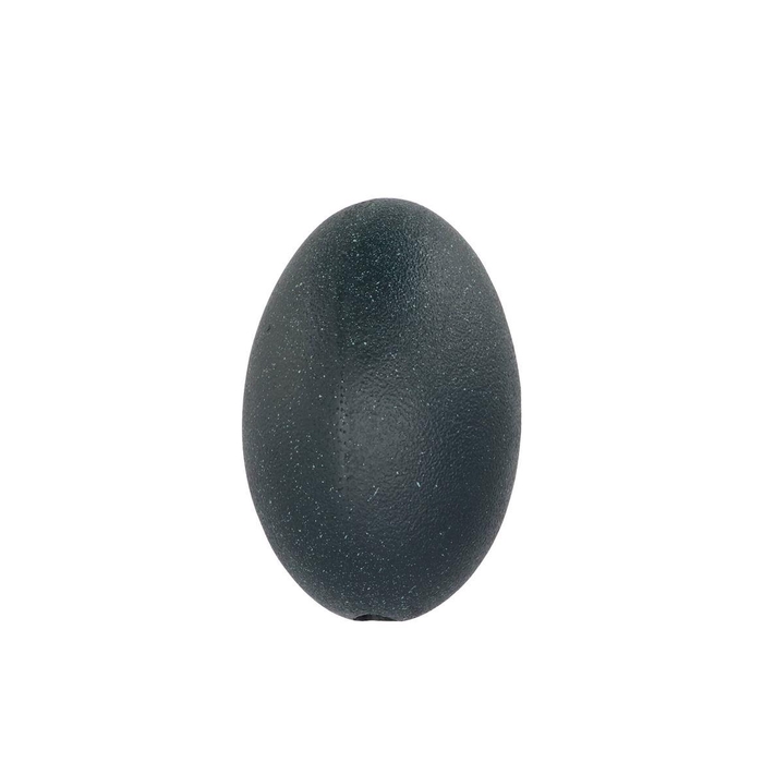 <h4>Eggs Emu Vogel Black P/1 Nm</h4>