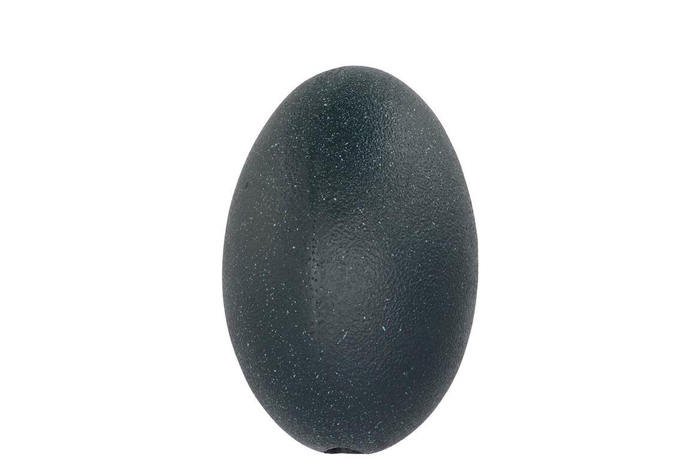 Eggs Emu Vogel Black P/1 Nm