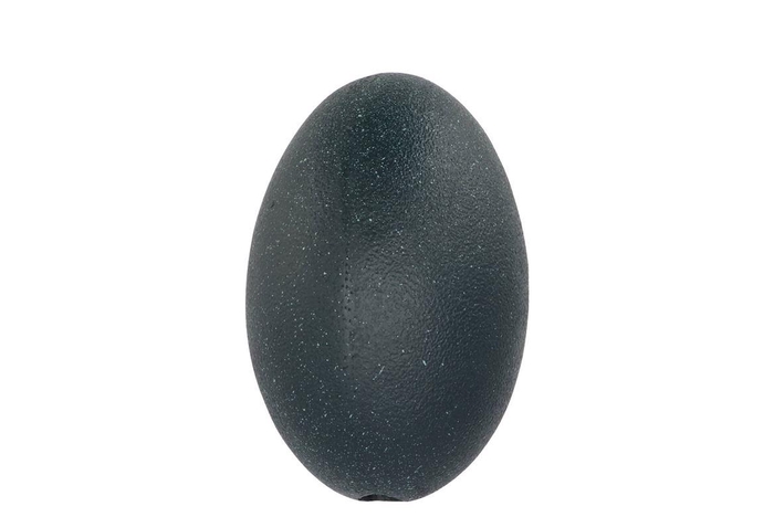 <h4>Eggs Emu Vogel Black P/1 Nm</h4>