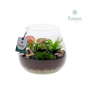 Green Bottle Abby Medium met arrangement