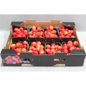 Malus Red Sentin Bak