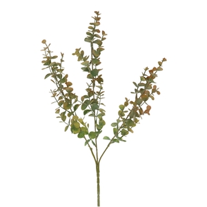 Eucalyptus 65cm