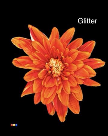 Chr T 2 Kl Baltica Roma + Glit Bio