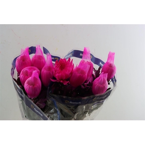 Chr G Kbh Tinted Cerise