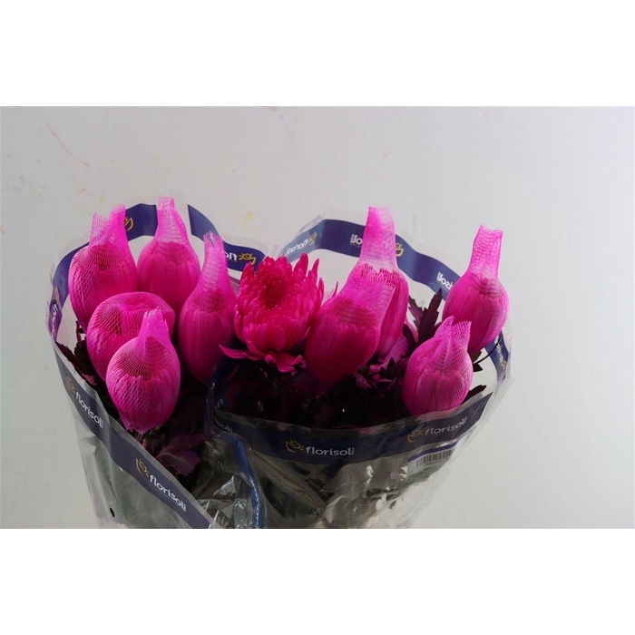 <h4>Chr G Kbh Tinted Cerise</h4>