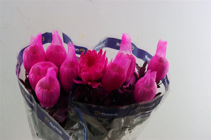 <h4>Chr G Kbh Tinted Cerise</h4>