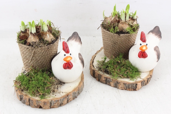 <h4>arr4 Narcis PL - Hout schijf met kip 285/6</h4>