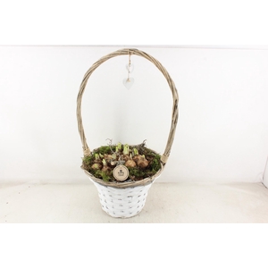 arr4 Narcis PL - Hengselmand met hart XL x2