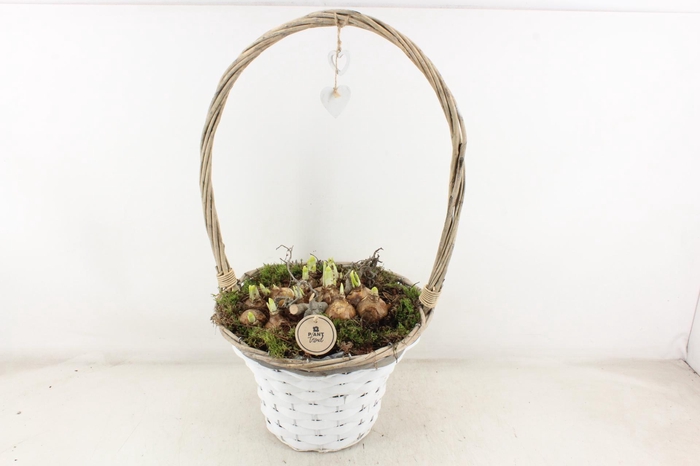 <h4>arr4 Narcis PL - Hengselmand met hart XL x2</h4>