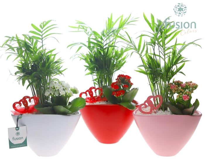 <h4>Pot keramiek ovaal Medium Love met Arrangement</h4>