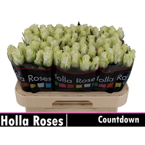 R Gr Countdown!