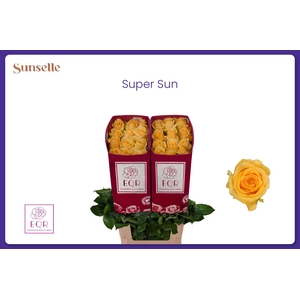 R GR SUPER SUN