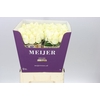 Rosa Gr Four Seasons+